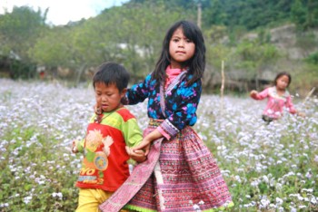 Mộc Châu những mùa hoa