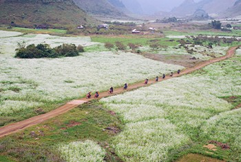 Phó Thống đốc: Tăng cường đưa vốn lên Tây Bắc