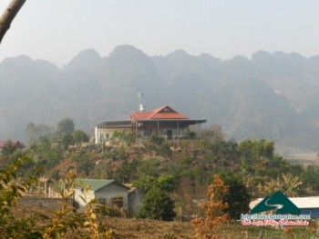 Nghỉ homestay tại vườn hoa lan, dâu tây