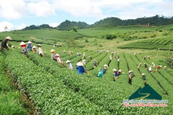 Mộc Châu, điểm nhấn vùng Tây Bắc