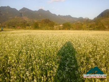 Gỡ những cái khó bó du lịch Tây Bắc