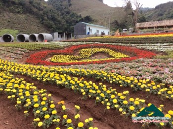 Khu du lịch Mộc Châu Happy Land