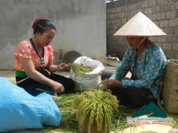 Độc đáo món cơm cốm của người Thái Mộc Châu