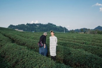 Khù khờ tour ở Mộc Châu