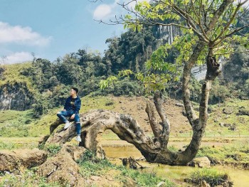 Tháng 3 Mộc Châu - Mùa yên bình