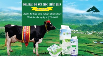 NỘI DUNG CHƯƠNG TRÌNH HỘI THI HOA HẬU BÒ SỮA MỘC CHÂU 2019