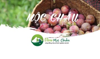 Group ViVu Mộc Châu