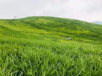 Du lịch Mộc Châu mùa hè – Nơi trốn nóng lý tưởng cho gia đình