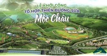 THỰC HIỆN HÓATHIÊN ĐƯỜNG BÒ SỮA MỘC CHÂU