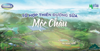 ĐIỀU ĐẶC BIỆT CỦA TỔ HỢP THIÊN ĐƯỜNG SỮA MỘC CHÂU