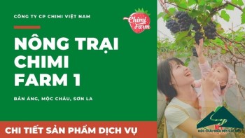 Vui hết mình với nho Mộc Châu ở Trang trại Chimi Farm