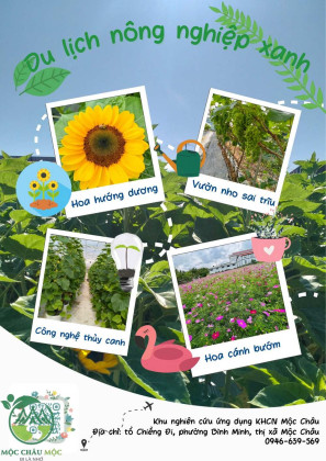 MIỄN PHÍ VÉ Khám phá Vườn hoa Chiềng Đi – Sunny Garden Mộc Châu