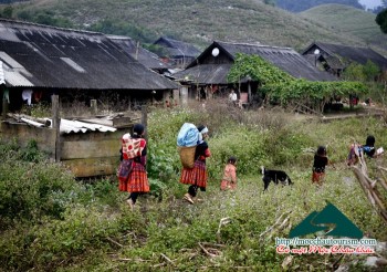 Khám phá Việt Nam - Ngũ động bản ôn, vẻ đẹp hoang sơ