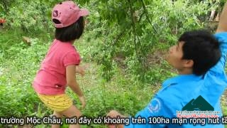 Ngày hội hái Mận Mộc Châu