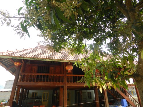 homestay mộc châu