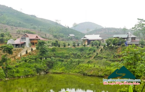 Homestay Bản Hoa (Nhà sàn Mộc Châu)