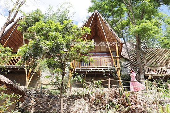 Mộc Châu retreat Homestay đẹp nhất Mộc Châu