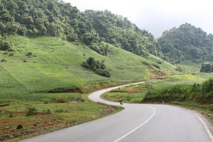 Cảnh sắc Mộc Châu