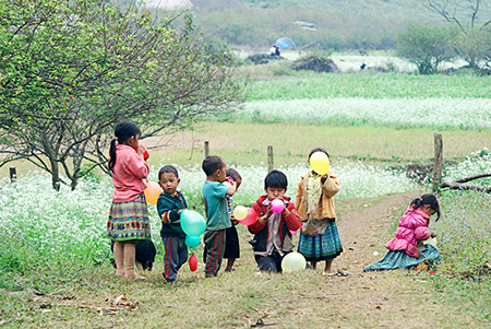 Mộc Châu mùa hoa cải trắng