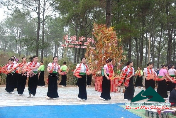 Cam nang du lich Moc Chau, diem nhan vung Tay Bac-hinh-anh-4