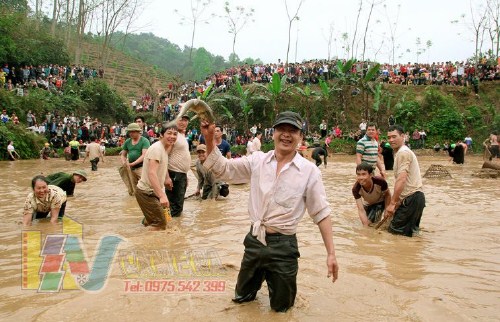 Kế hoạch Lễ hội hoa Ban huyện Vân Hồ năm 2017