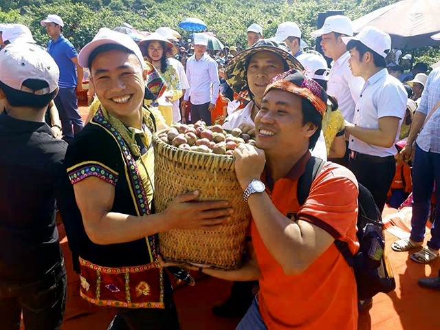 Đến Mộc Châu mùa mận chín