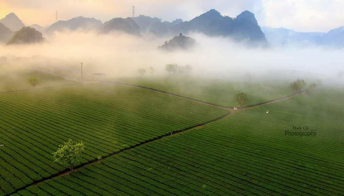 Nắng thế này sao không đi Mộc Châu trốn nóng