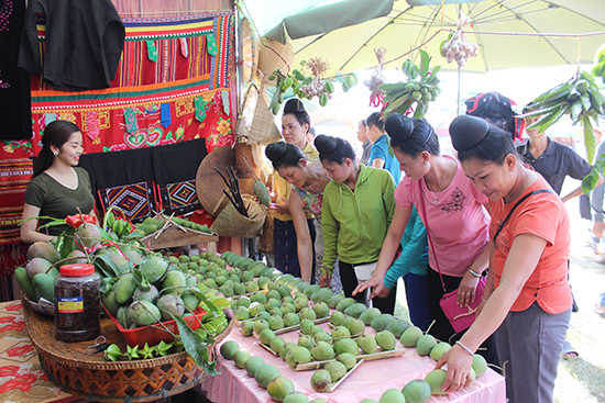 Lịch tổ chức Ngày hội Xoài Yên Châu 2018