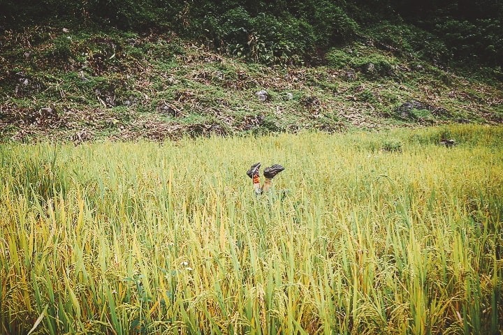 trekking moc chau ta so hang tau (19)