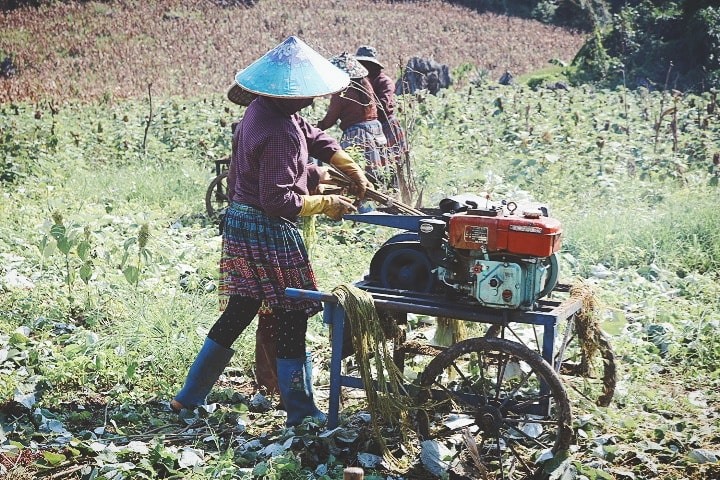 trekking moc chau ta so hang tau (19)