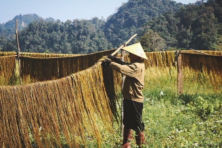 trekking moc chau ta so hang tau (19)