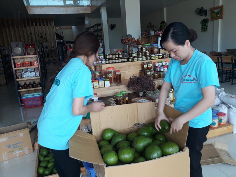 Bơ sạch Mộc Châu, thương hiệu của Mộc Châu Food được ưa chuộng và tin dùng