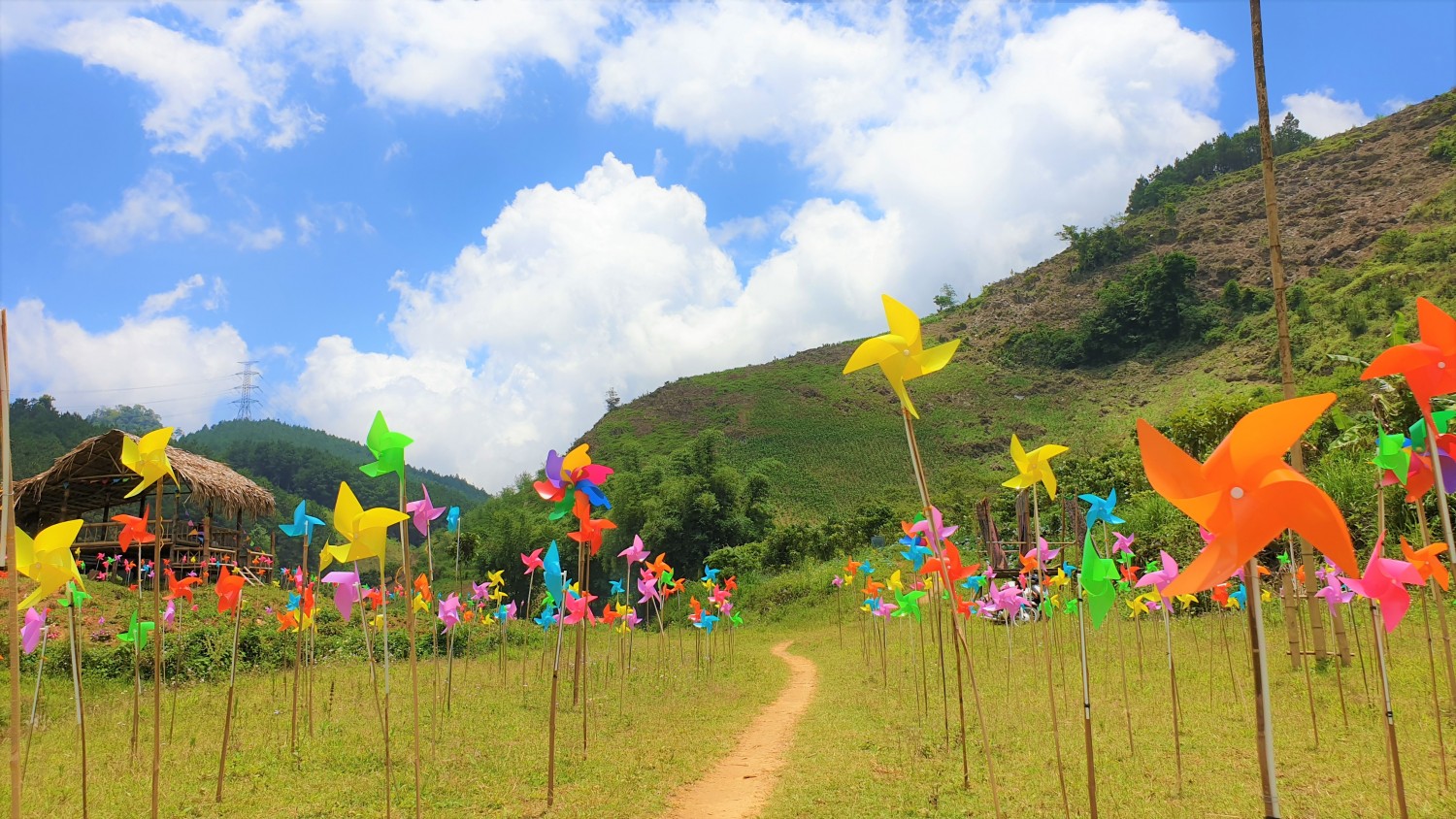 dồi chong chóng vân hồ lake