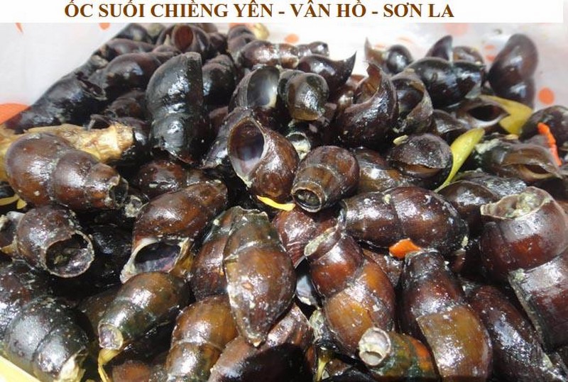 OC SUOI CHIENG YEN (Copy)