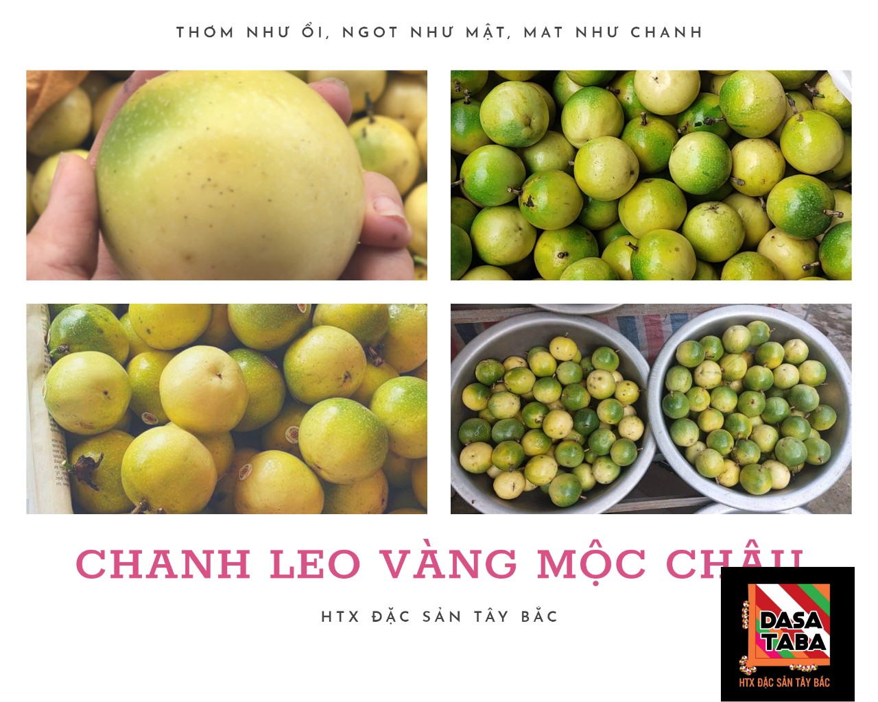 chanh leo vàng mộc châu