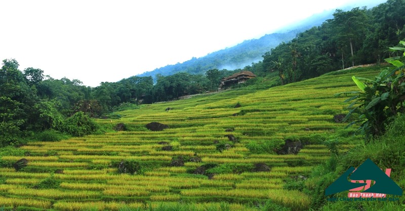 Du lịch sinh thái - cộng đồng Pù Luông