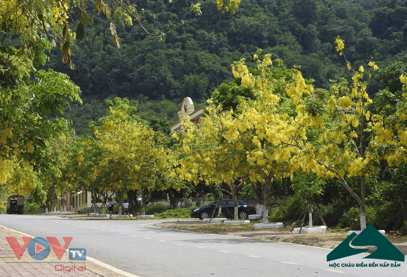 muong moc chau (5)