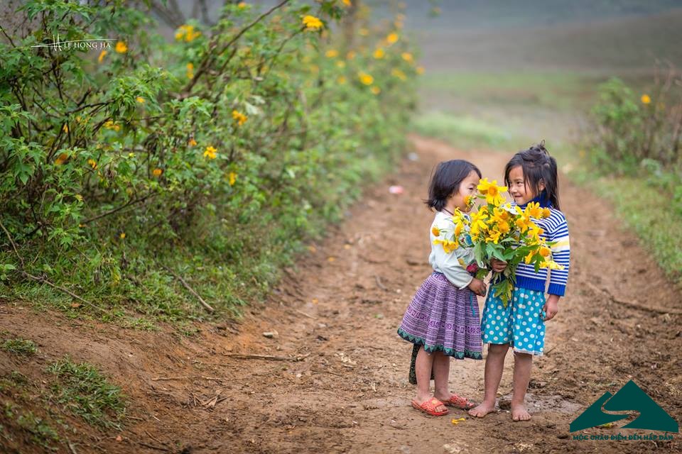 du lịch mộc châu tháng 11