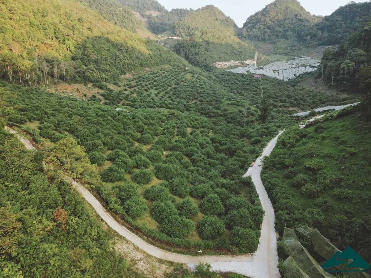 thung lũng mận Mu Náu