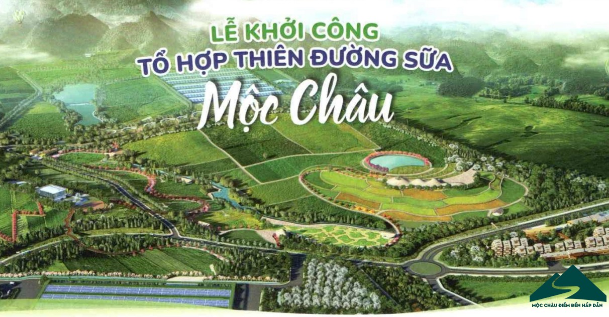 thiên đường bò sữa mộc châu