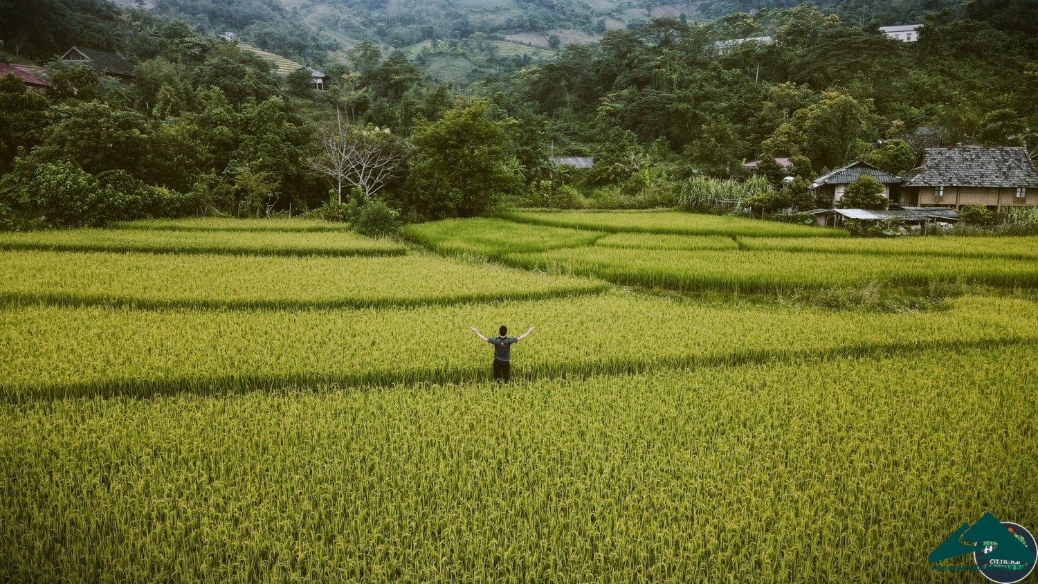 ruộng bậc thang nà sàng