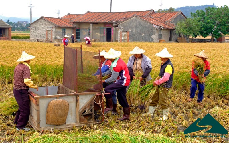 du lịch nông nghiệp đài loan